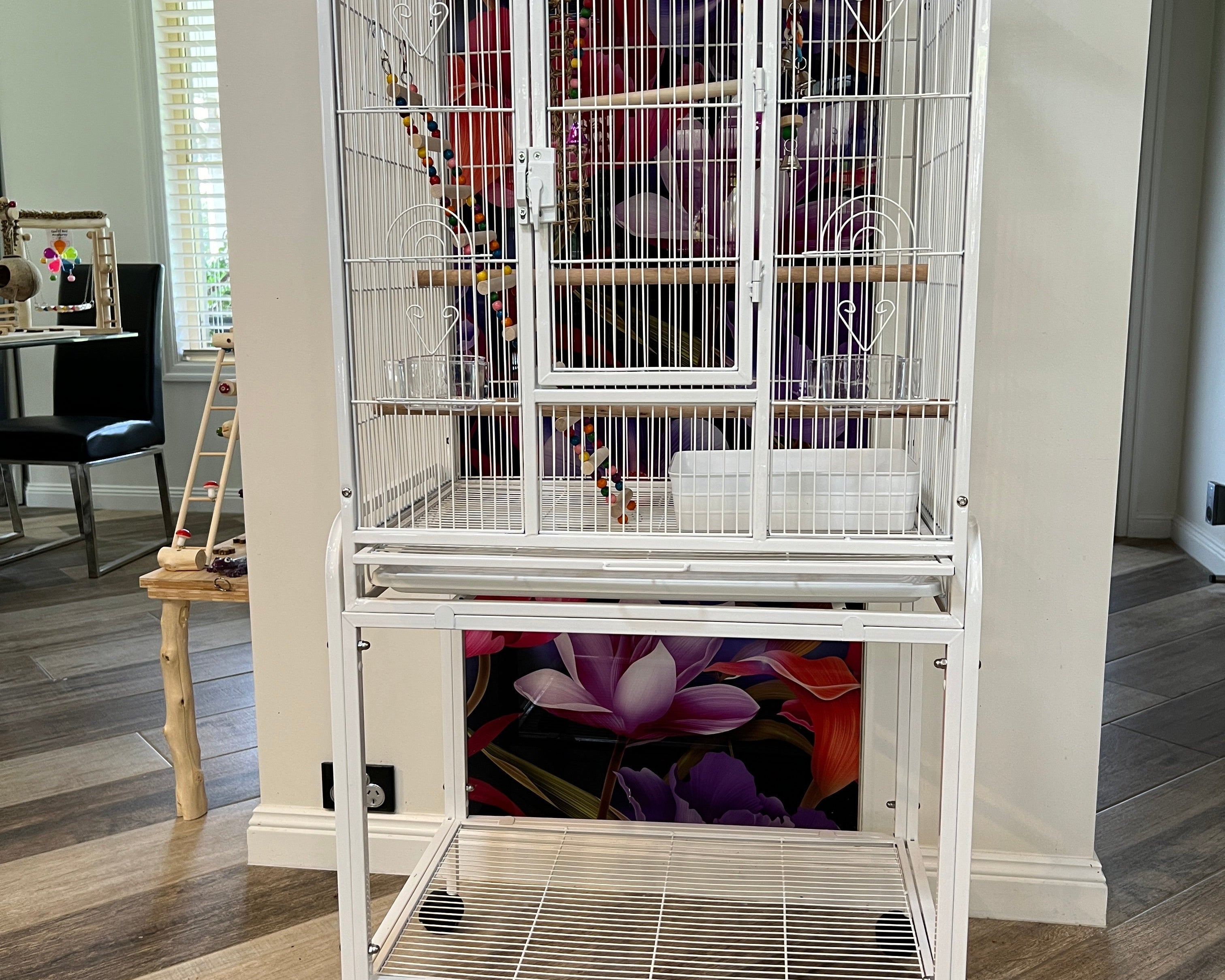 What are the RSPCA’s guidelines for budgies?