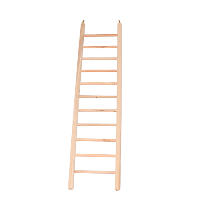 35.png
