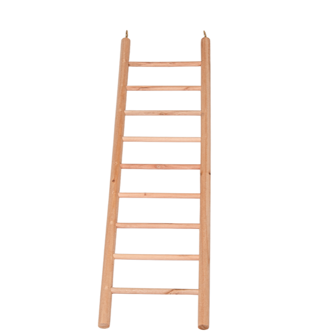 37.png