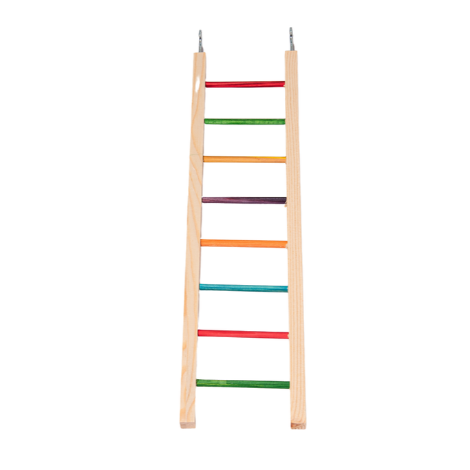 43_65712bcc-eaaf-43c3-be60-01f08ba83029.png