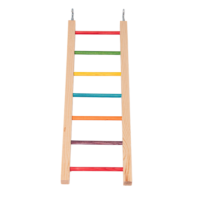 Solid Bird Safe Wood Ladder - Colored
