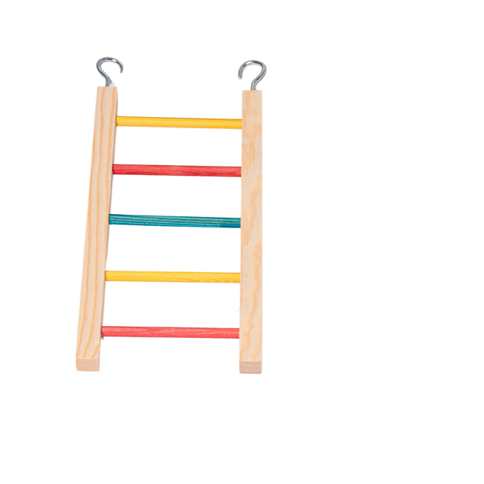 Solid Bird Safe Wood Ladder - Colored