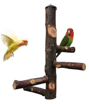 Natural Wood Hanging Multi Level Bird Perch