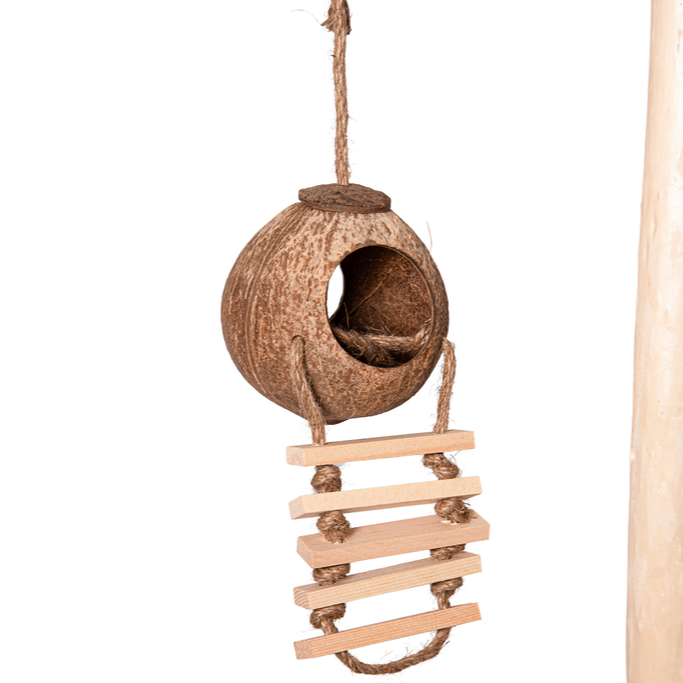 Coconut Bird House