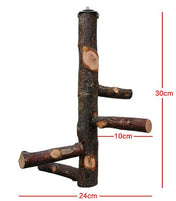 Natural Wood Hanging Multi Level Bird Perch