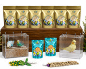 Fresh Low-Fat Budgie Seed For Beautiful Budgies