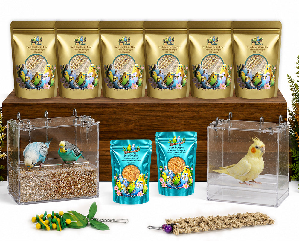 Fresh Low-Fat Budgie Seed For Beautiful Budgies