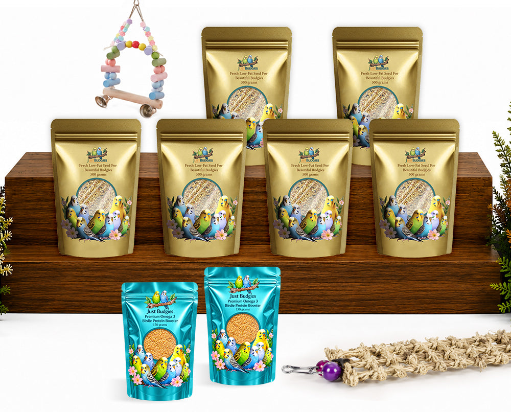 Fresh Low-Fat Budgie Seed For Beautiful Budgies