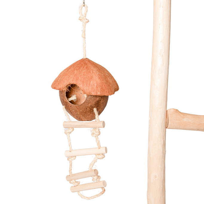 Coconut Bird House