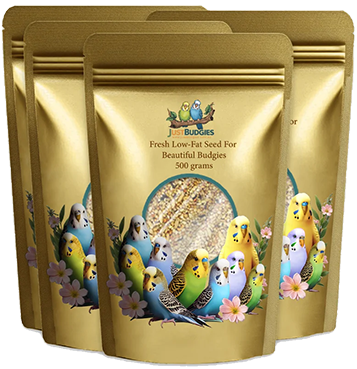 Budgie Food