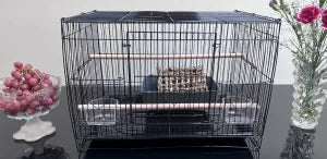 Cage-Small-50x35x35cm-scaled-1-300x146.webp