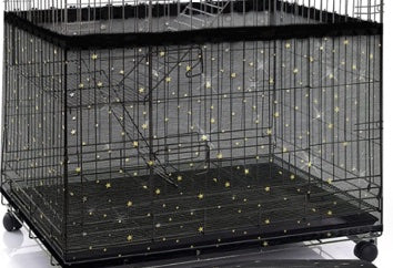 CageTidyBlack.jpg