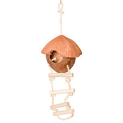 Coconut Bird House