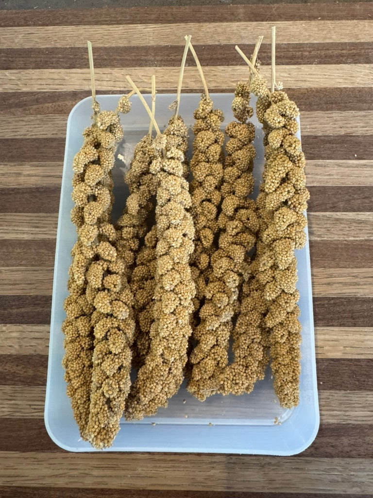 Millet Sprays 150 grams