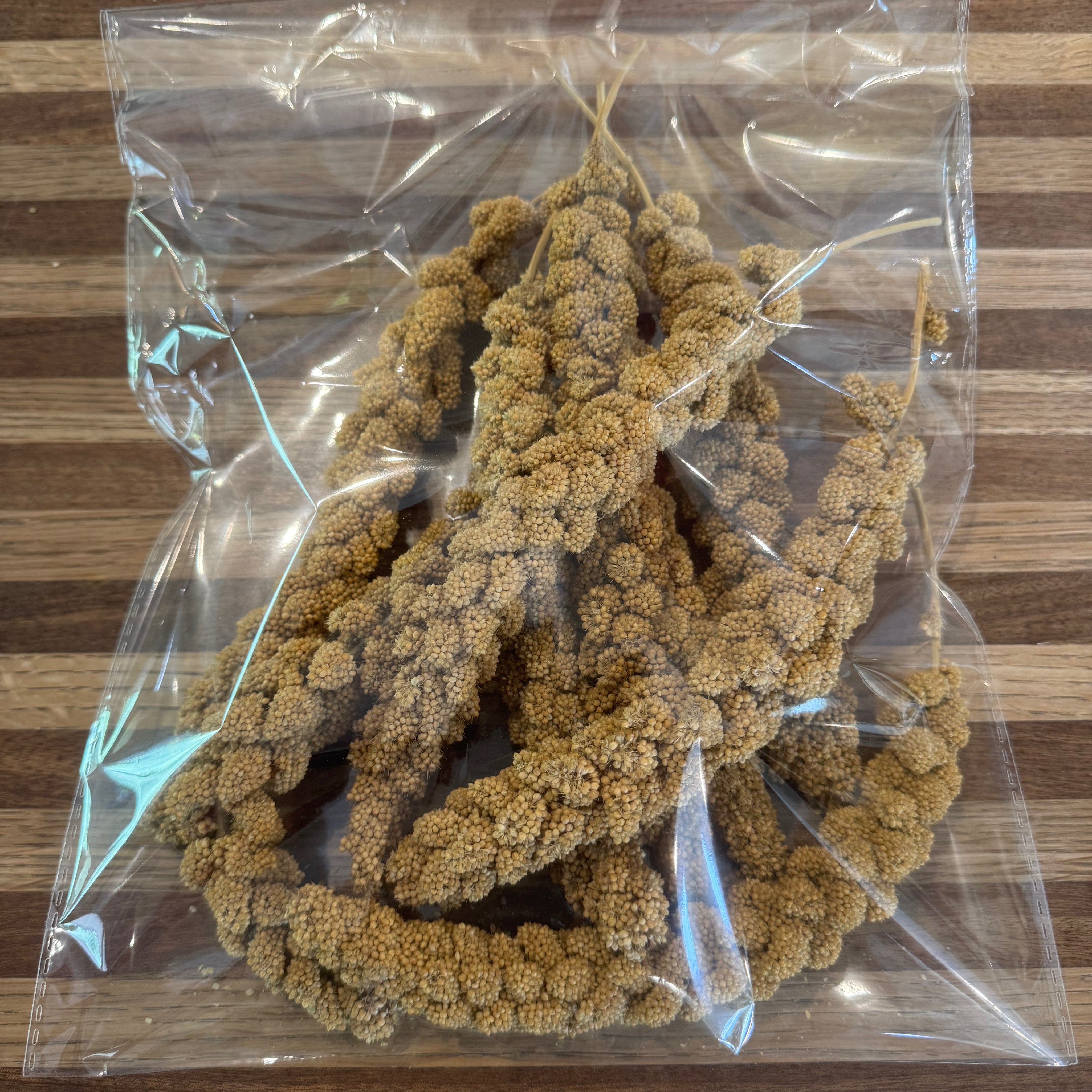 150 grams Millet Sprays