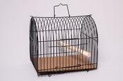 Travel Bird Cage