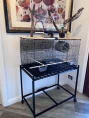 Flight Bird Cage