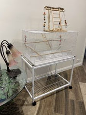 Flight Bird Cage