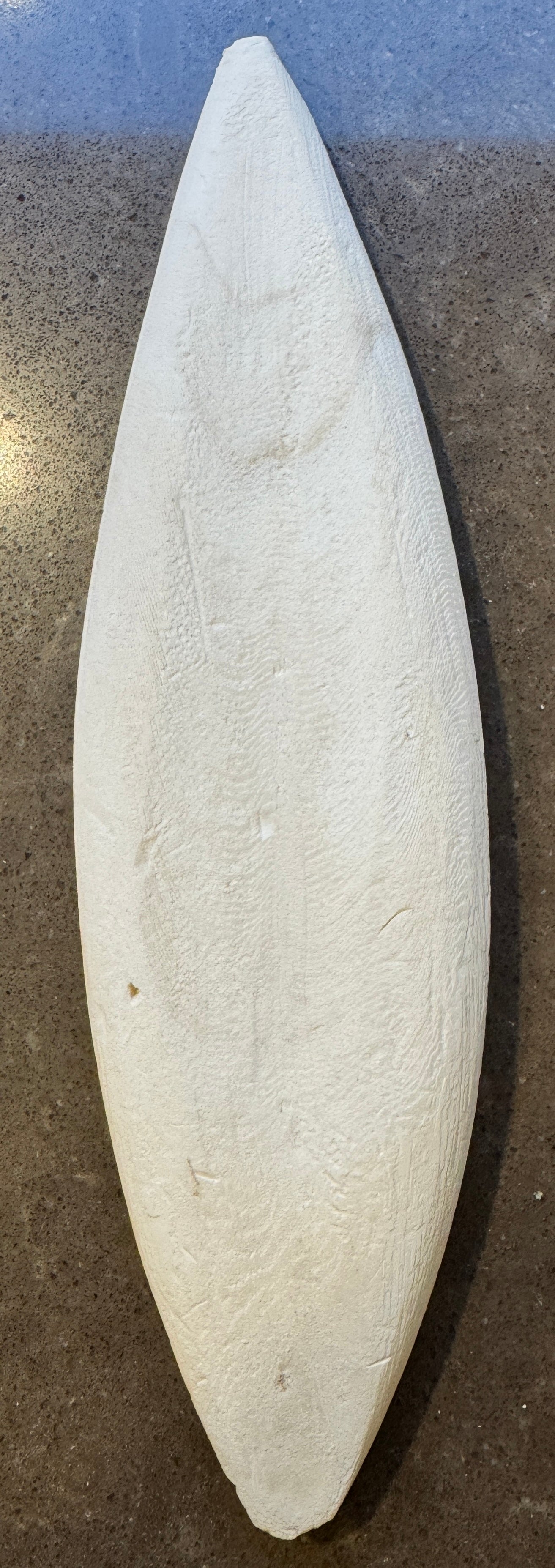 Birdie Cuttle Bone (Extra Large)