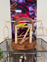 Natural Budgie Playground & Activity Stand