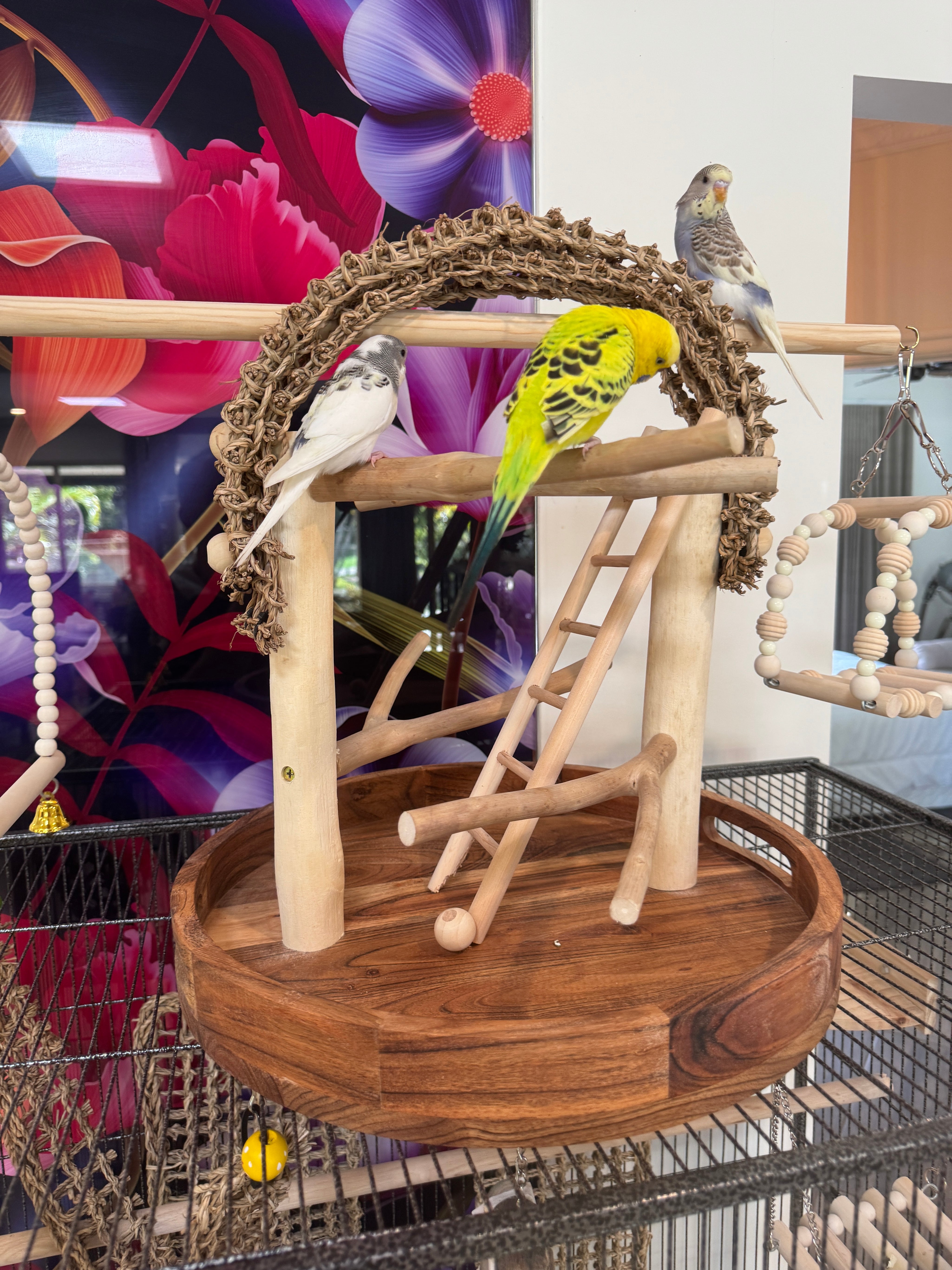 Natural Budgie Playground & Activity Stand