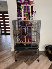 Palace Bird Cage & Stand