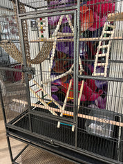Palace Bird Cage & Stand