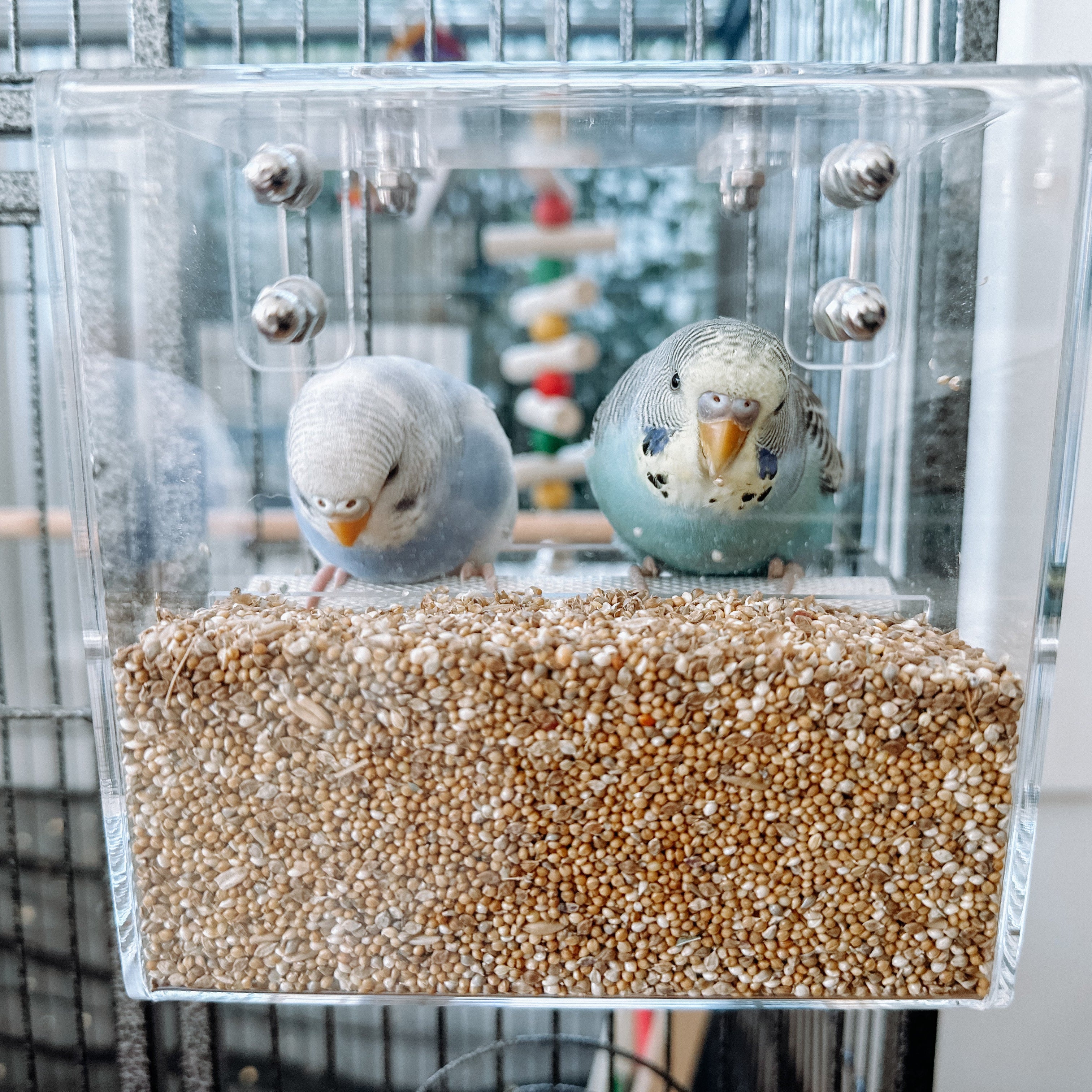 Magic Bird Seed Feeders