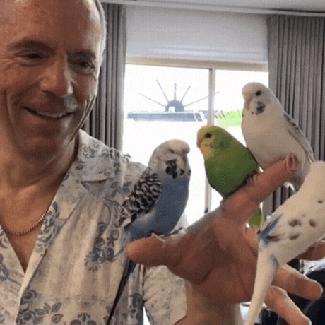 Garry from Just Budgies with his hand-tame budgies
