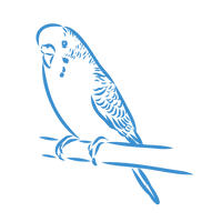 Just_Budgies_-_Icons_7.png