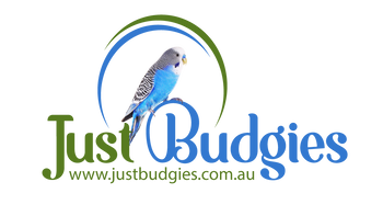 Just Budgies