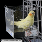 Magic Birdie Bath