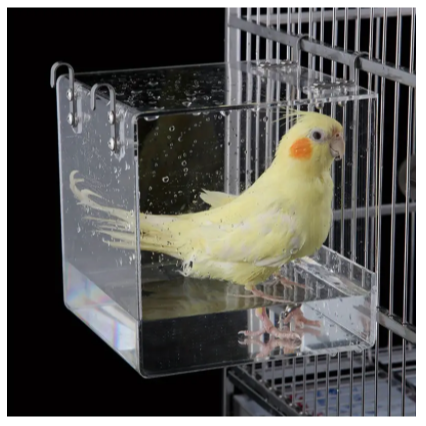 Acrylic Birdie Bath