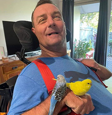 Budgie