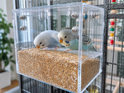 Magic Bird Seed Feeders