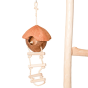 Coconut Bird House