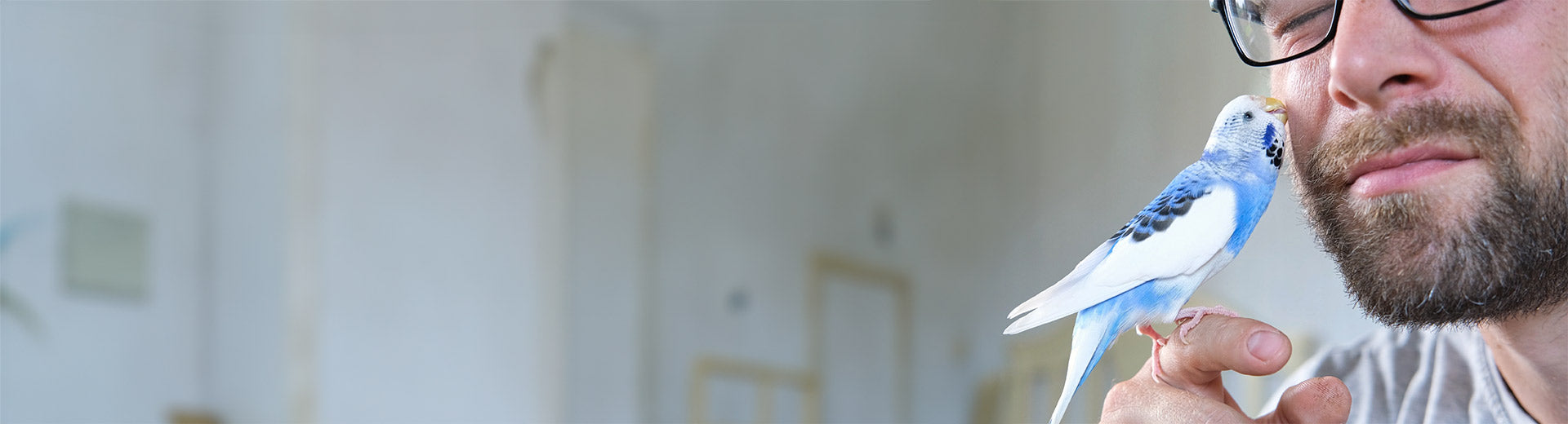 man-budgie-header-banner.jpg