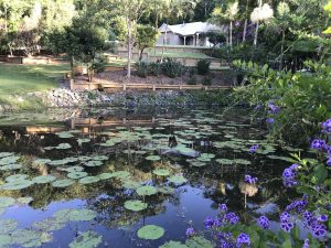 House across dam with flowers