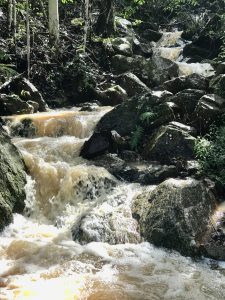 Water flowing over rocks in a creek