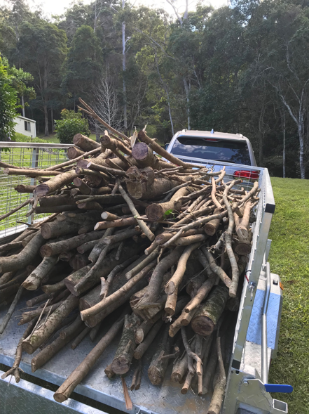 Tree Branches in trailer